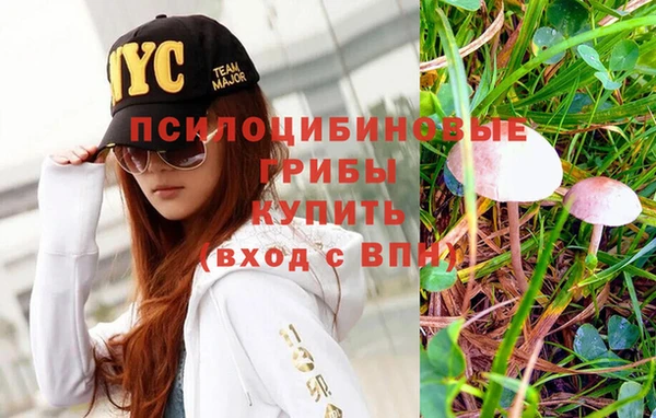 эйфоретик Пролетарск