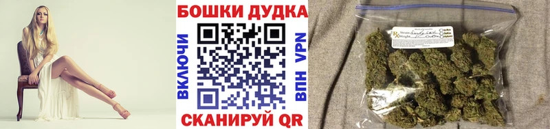 Шишки марихуана сатива  сайты даркнета формула  Порхов 